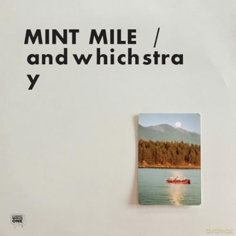 Mint Mile: Andwhichstray [Winyl]