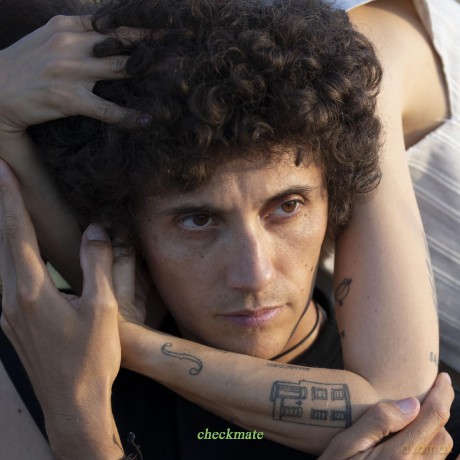 Ron Gallo: Checkmate [Winyl]