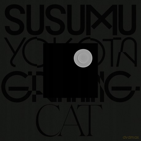 Susumu Yokota: Grinning Cat (Skintone) [Winyl]