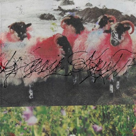 Kassie Krut: Kassie Krut (Deluxe) [Winyl]