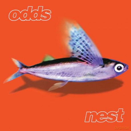 Odds: Nest [Winyl]