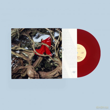 Hannah Frances: Nested In Tangles (Ruby Red) [Winyl]