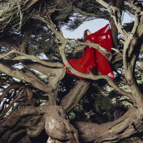 Hannah Frances: Nested In Tangles (Ruby Red) [Winyl]