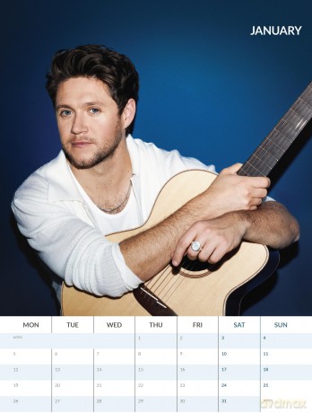 Niall Horan: Niall Horan 2026 Unofficial Calendar [KALENDARZ]