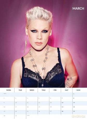 Pink: Pink 2026 Unofficial Calendar [KALENDARZ]