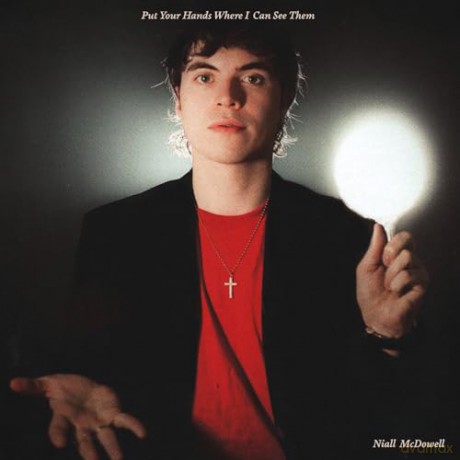 Niall Mcdowell: Put Your Hands Where I Can See Them [Winyl]