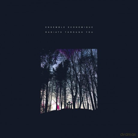 Ensemble Economique: Radiate Through You (Clear Pink) (Indie Exclusive) [Winyl]