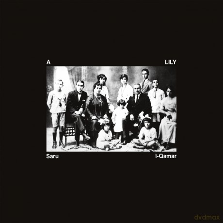 A Lily: Saru L-Qamar (Grey Marble) [Winyl]