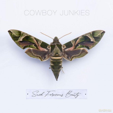 Cowboy Junkies: Such Ferocious Beauty [Winyl]