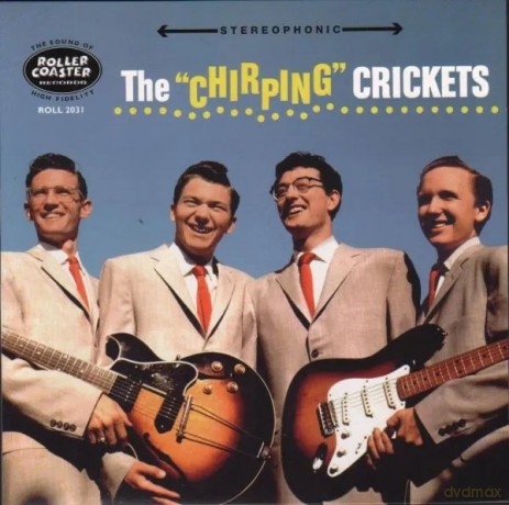 Crickets: The Alternative Chirping Crickets [Winyl]
