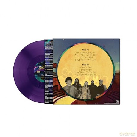 Warlocks: The Manic Excessive Sounds Of [Winyl]