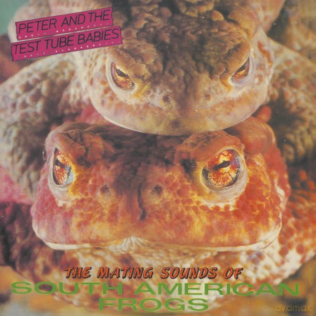 Peter And The Test Tube Babies: The Mating Sounds Of South American Frogs [Winyl]