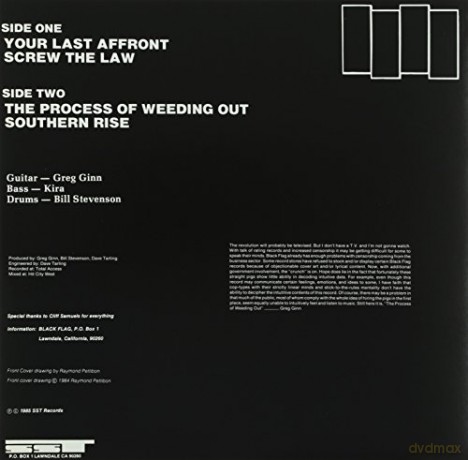 Black Flag: The Process Of Weeding Out [Winyl]