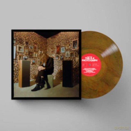 Kevin Morby: This Is A Photograph [Winyl]