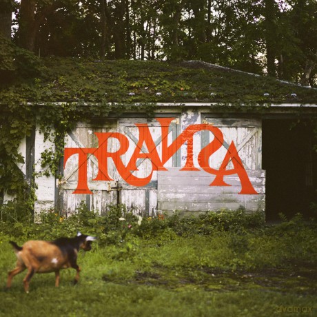 Transa (Deluxe) [Winyl]