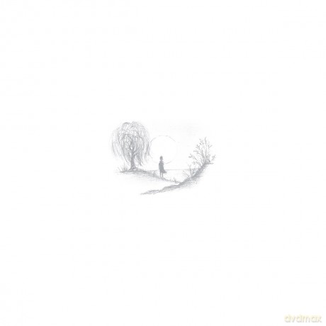 Birds Of Passage: Without The World [Winyl]