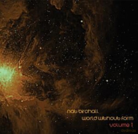 Nat Birchall: World Without Form Volume 1 [Winyl]