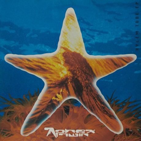 Aphex Twin: Xylem Tube EP [Winyl]