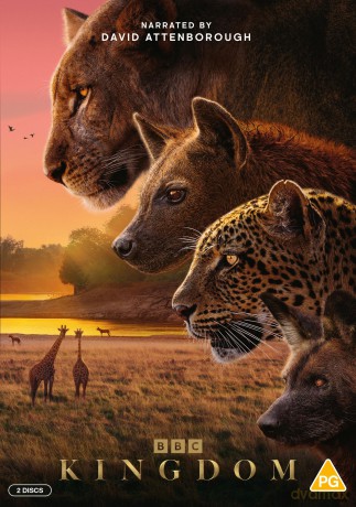 Kingdom [DVD]