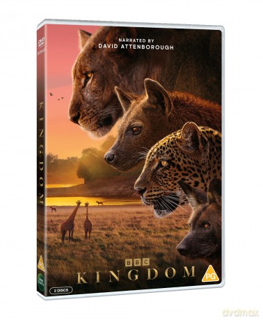 Kingdom [DVD]