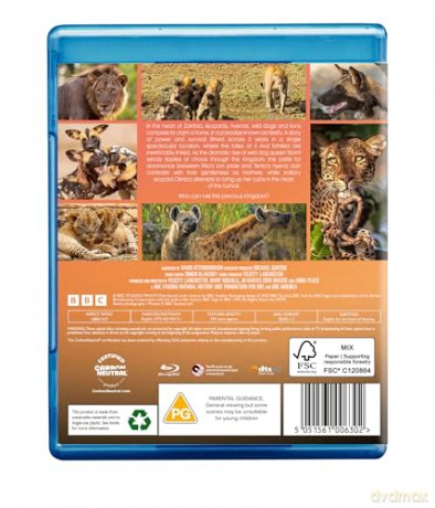 Kingdom [DVD]