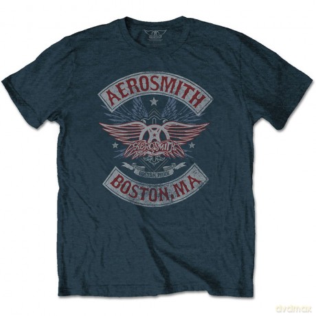 Aerosmith: Men's Tee: Boston Pride (Small)