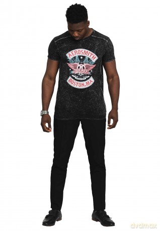 Aerosmith: Unisex T-Shirt: Boston Pride (Black) (Wash Collection) (X-Large)