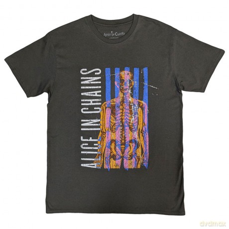 Alice In Chains: Unisex Stone Wash T-Shirt: Skeletal (Charcoal Grey) (Small)