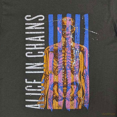 Alice In Chains: Unisex T-Shirt: Skeletal (Charcoal Grey) (Small)
