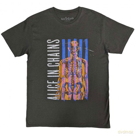 Alice In Chains: Unisex T-Shirt: Skeletal (Charcoal Grey) (X-Large)