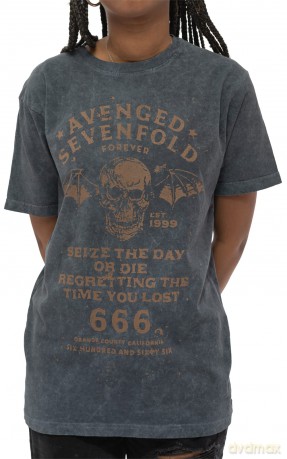 Avenged Sevenfold: Unisex T-Shirt: Seize The Day (Black) (Wash Collection) (Medium)