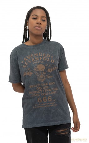 Avenged Sevenfold: Unisex T-Shirt: Seize The Day (Black) (Wash Collection) (X-Large)