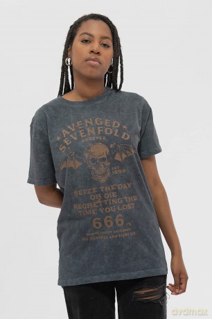 Avenged Sevenfold: Unisex T-Shirt: Seize The Day (Black) (Wash Collection) (XX-Large)