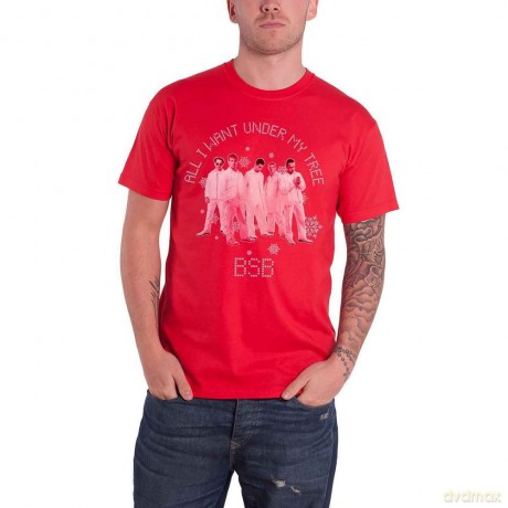 Backstreet Boys: Unisex T-Shirt: All I Want Xmas (Red) (Medium)