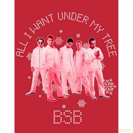 Backstreet Boys: Unisex T-Shirt: All I Want Xmas (Red) (Medium)