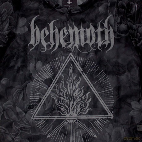 Behemoth: Ladies Crop Top: Furor Divinus (Black) (Mesh) (Medium)