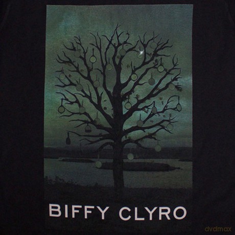 Biffy Clyro: Unisex T-Shirt: Black Chandelier (Black) (Small)