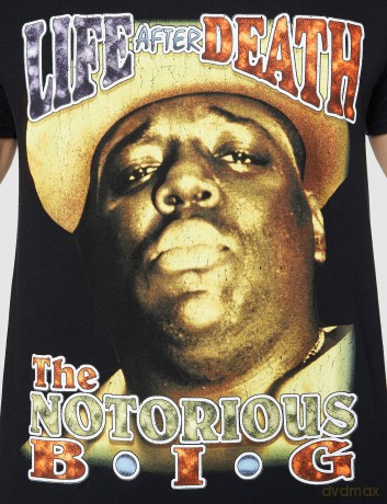 Biggie: Smalls Men's Tee: Life After Death (Back Print) (Small)