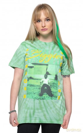 Biggie Smalls: Unisex T-Shirt: 90's New York City (Green) (Wash Collection) (XX-Large)