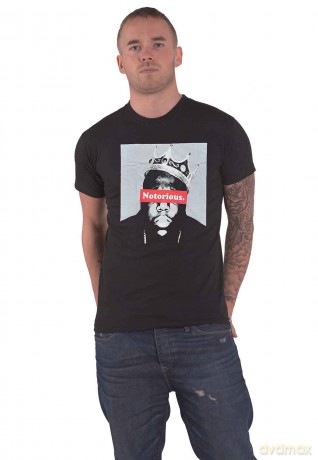 Biggie Smalls: Unisex T-Shirt: Life After Death Neon (Black) (Small)
