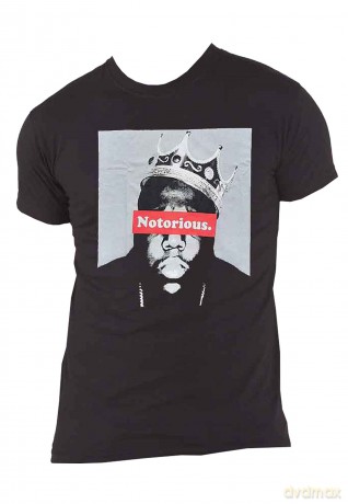 Biggie Smalls: Unisex T-Shirt: Notorious (Black) (Small)
