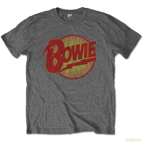 David Bowie: Kids T-Shirt: Diamond Dogs Logo (Charcoal Grey) (9-10 Years)