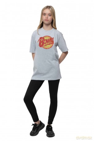 David Bowie: Kids T-Shirt: Vintage Diamond Dogs Logo (Heather Grey) (11-12 Years)