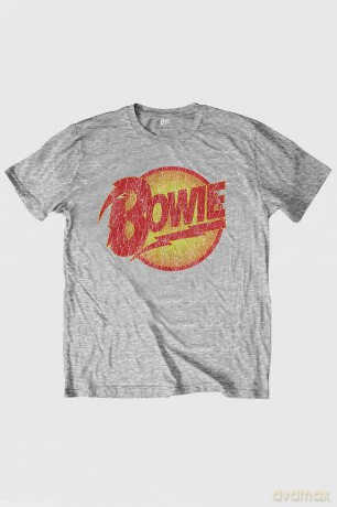 David Bowie: Kids T-Shirt: Vintage Diamond Dogs Logo (Heather Grey) (3-4 Years)