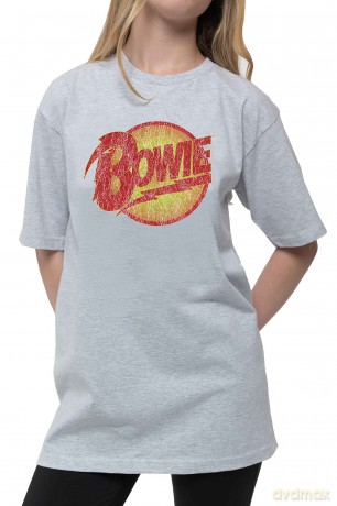 David Bowie: Kids T-Shirt: Vintage Diamond Dogs Logo (Heather Grey) (5-6 Years)