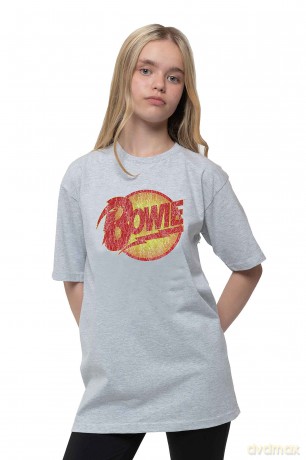 David Bowie: Kids T-Shirt: Vintage Diamond Dogs Logo (Heather Grey) (7-8 Years)