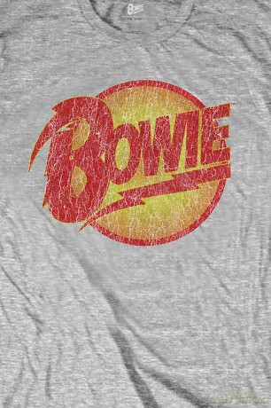 David Bowie: Kids T-Shirt: Vintage Diamond Dogs Logo (Heather Grey) (9-10 Years)