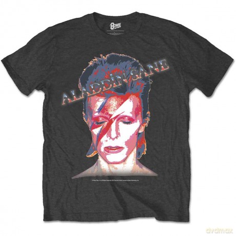 David Bowie: Men's Tee: Aladdin Sane (Large)