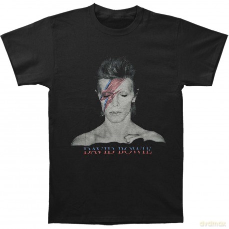 David Bowie: Men's Tee: Aladdin Sane (Large)