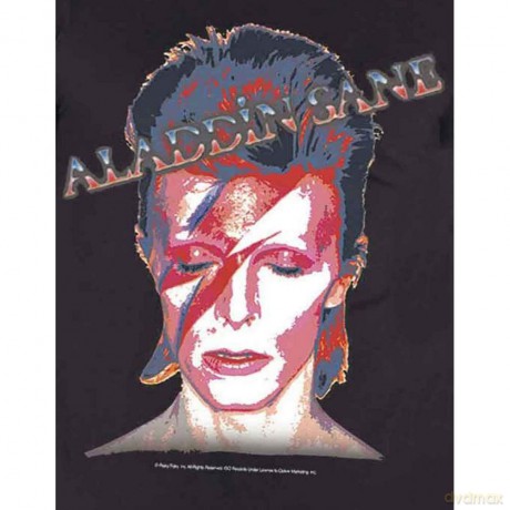 David Bowie: Men's Tee: Aladdin Sane (Medium)